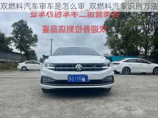 雙燃料汽車審車是怎么審_雙燃料汽車識(shí)別方法