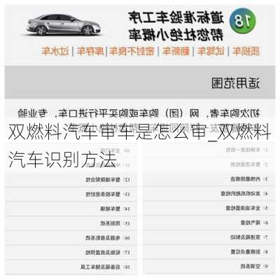 雙燃料汽車審車是怎么審_雙燃料汽車識(shí)別方法