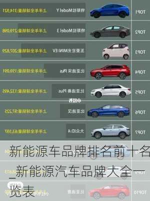 新能源車品牌排名前十名_新能源汽車品牌大全一覽表