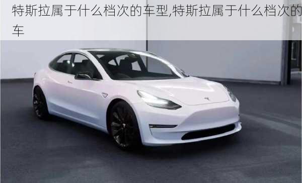 特斯拉屬于什么檔次的車(chē)型,特斯拉屬于什么檔次的車(chē)