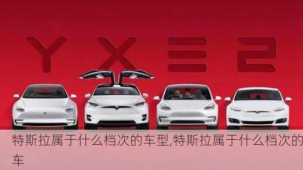 特斯拉屬于什么檔次的車(chē)型,特斯拉屬于什么檔次的車(chē)