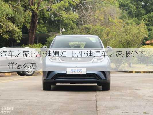 汽車之家比亞迪媳婦_比亞迪汽車之家報價不一樣怎么辦