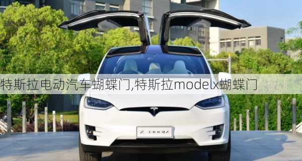 特斯拉電動汽車蝴蝶門,特斯拉modelx蝴蝶門