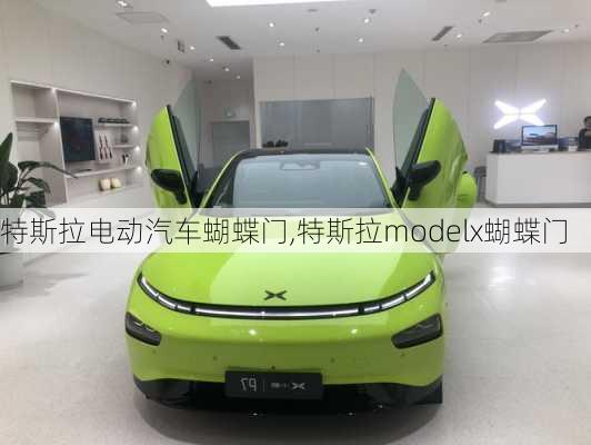 特斯拉電動汽車蝴蝶門,特斯拉modelx蝴蝶門