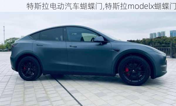 特斯拉電動汽車蝴蝶門,特斯拉modelx蝴蝶門