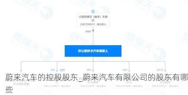 蔚來汽車的控股股東_蔚來汽車有限公司的股東有哪些