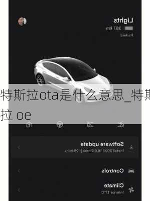 特斯拉ota是什么意思_特斯拉 oe