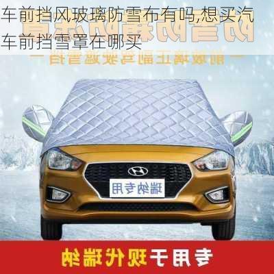 車前擋風(fēng)玻璃防雪布有嗎,想買汽車前擋雪罩在哪買