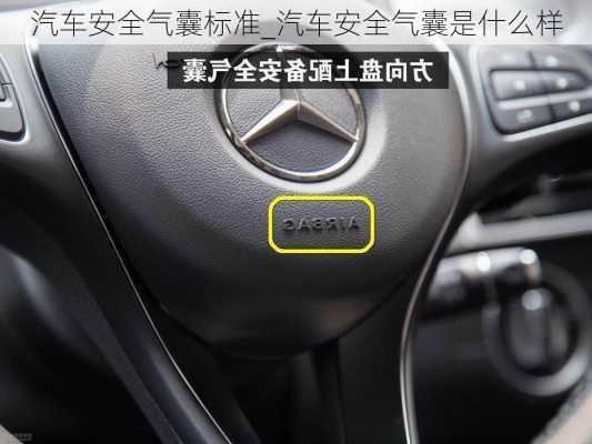 汽車(chē)安全氣囊標(biāo)準(zhǔn)_汽車(chē)安全氣囊是什么樣