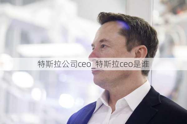 特斯拉公司ceo_特斯拉ceo是誰