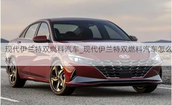 現(xiàn)代伊蘭特雙燃料汽車_現(xiàn)代伊蘭特雙燃料汽車怎么樣