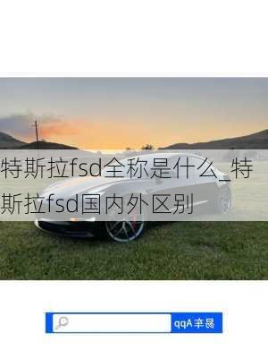 特斯拉fsd全稱是什么_特斯拉fsd國內(nèi)外區(qū)別