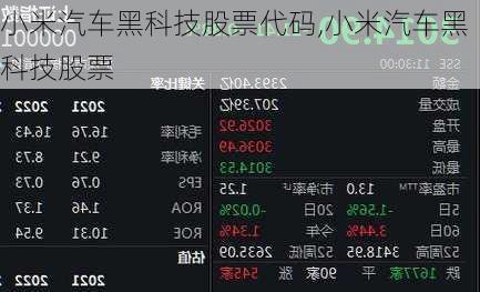 小米汽車黑科技股票代碼,小米汽車黑科技股票