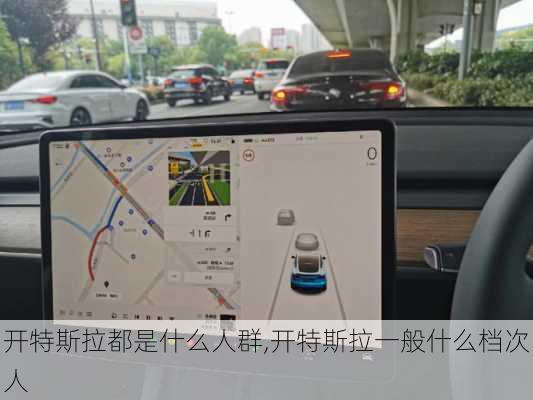 開特斯拉都是什么人群,開特斯拉一般什么檔次人