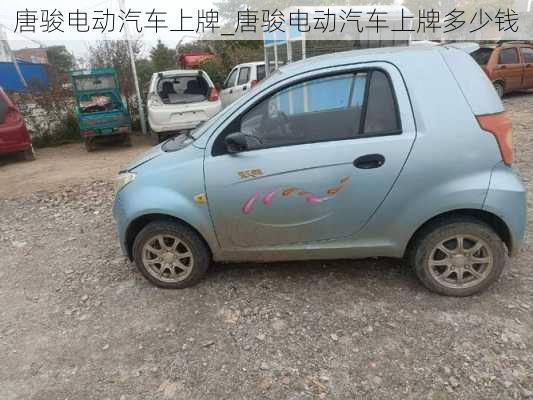 唐駿電動汽車上牌_唐駿電動汽車上牌多少錢