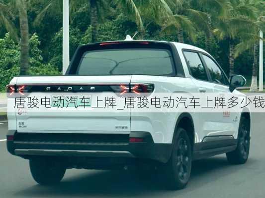 唐駿電動汽車上牌_唐駿電動汽車上牌多少錢