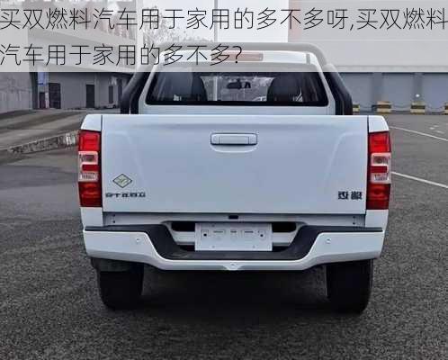 買雙燃料汽車用于家用的多不多呀,買雙燃料汽車用于家用的多不多?