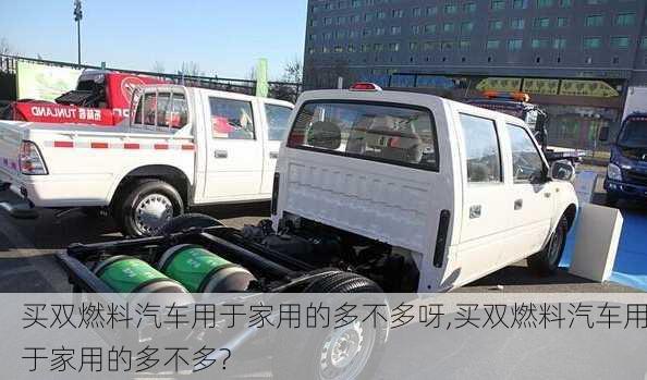 買雙燃料汽車用于家用的多不多呀,買雙燃料汽車用于家用的多不多?