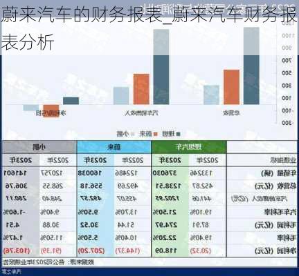 蔚來汽車的財務(wù)報表_蔚來汽車財務(wù)報表分析