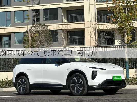 蔚來汽車公司_蔚來汽車廠商簡介