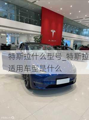 特斯拉什么型號_特斯拉適用車型是什么