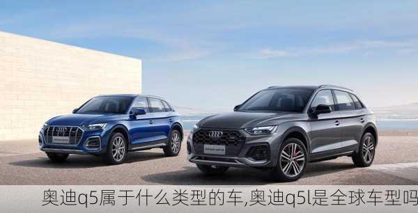 奧迪q5屬于什么類型的車,奧迪q5l是全球車型嗎