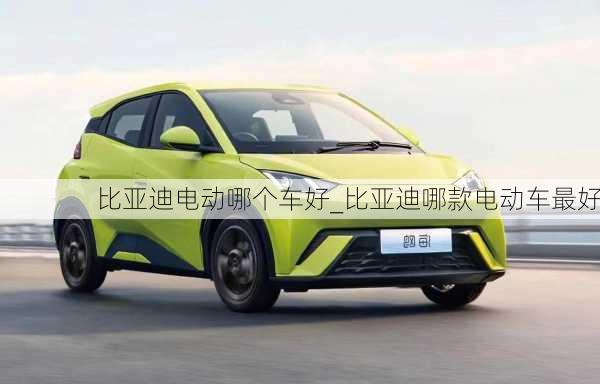 比亞迪電動(dòng)哪個(gè)車好_比亞迪哪款電動(dòng)車最好