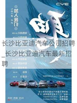 長(zhǎng)沙比亞迪汽車公司招聘_長(zhǎng)沙比亞迪汽車最新招聘