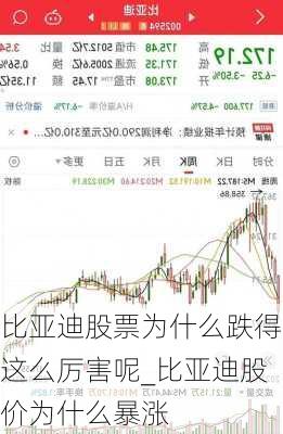 比亞迪股票為什么跌得這么厲害呢_比亞迪股價(jià)為什么暴漲