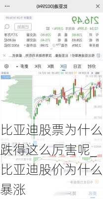 比亞迪股票為什么跌得這么厲害呢_比亞迪股價(jià)為什么暴漲