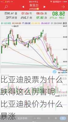 比亞迪股票為什么跌得這么厲害呢_比亞迪股價(jià)為什么暴漲