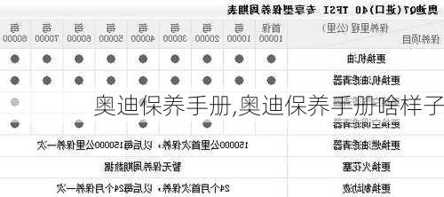 奧迪保養(yǎng)手冊,奧迪保養(yǎng)手冊啥樣子