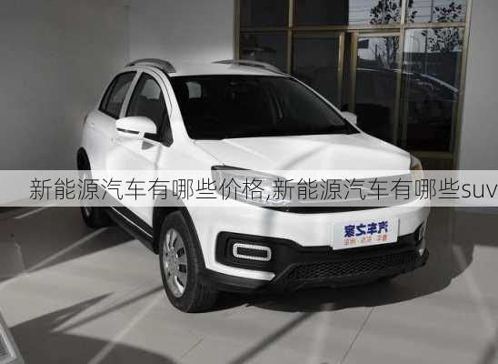 新能源汽車有哪些價格,新能源汽車有哪些suv