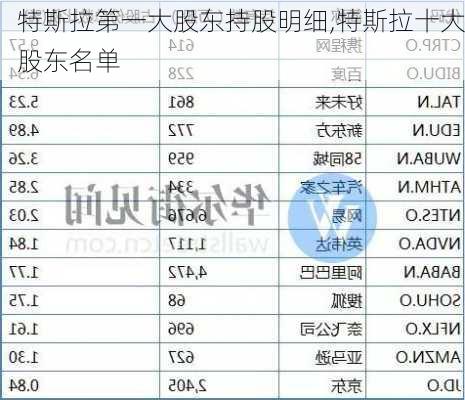 特斯拉第一大股東持股明細(xì),特斯拉十大股東名單