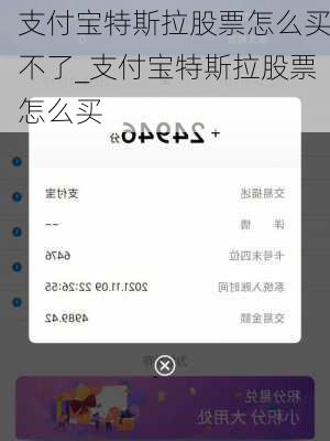 支付寶特斯拉股票怎么買(mǎi)不了_支付寶特斯拉股票怎么買(mǎi)
