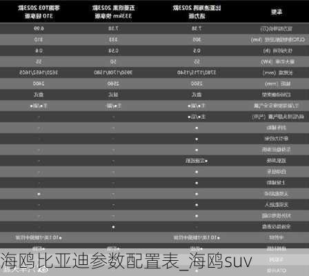 海鷗比亞迪參數(shù)配置表_海鷗suv