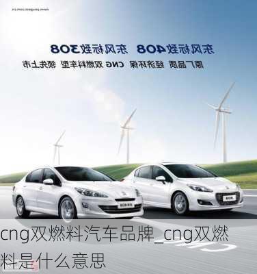 cng雙燃料汽車品牌_cng雙燃料是什么意思