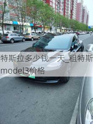 租特斯拉多少錢一天_租特斯拉model3價格