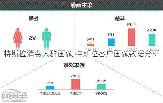 特斯拉消費人群畫像,特斯拉客戶畫像數(shù)據(jù)分析