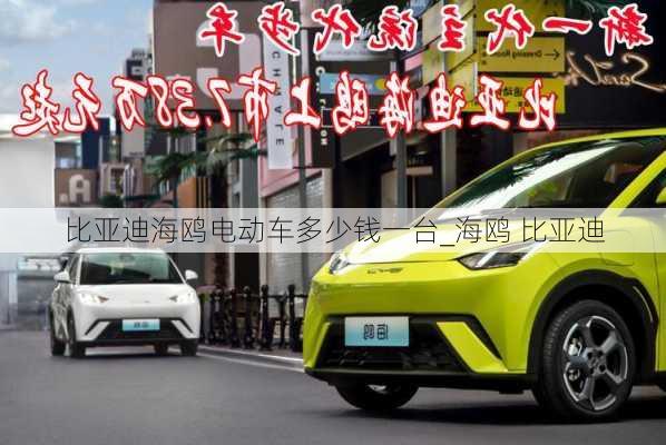 比亞迪海鷗電動(dòng)車多少錢一臺(tái)_海鷗 比亞迪