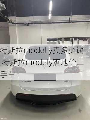 特斯拉model y賣(mài)多少錢(qián),特斯拉modely落地價(jià)二手車(chē)