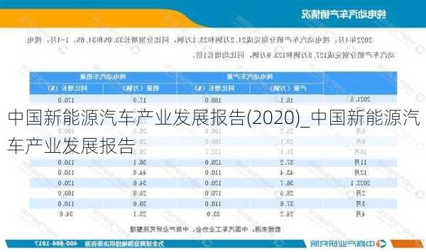 中國新能源汽車產(chǎn)業(yè)發(fā)展報告(2020)_中國新能源汽車產(chǎn)業(yè)發(fā)展報告