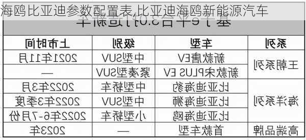 海鷗比亞迪參數(shù)配置表,比亞迪海鷗新能源汽車