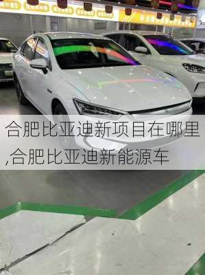 合肥比亞迪新項目在哪里,合肥比亞迪新能源車