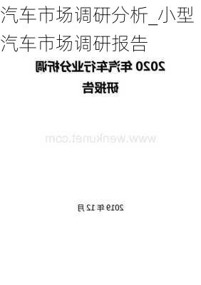 汽車市場(chǎng)調(diào)研分析_小型汽車市場(chǎng)調(diào)研報(bào)告