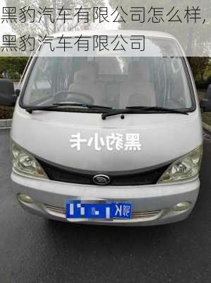 黑豹汽車(chē)有限公司怎么樣,黑豹汽車(chē)有限公司