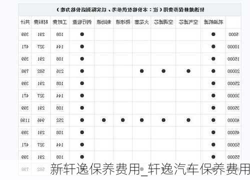 新軒逸保養(yǎng)費(fèi)用_軒逸汽車(chē)保養(yǎng)費(fèi)用