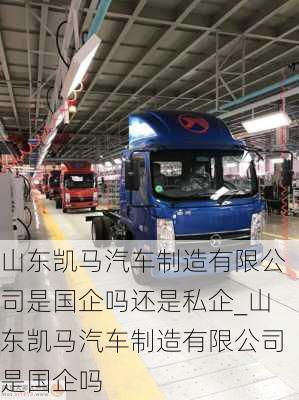 山東凱馬汽車制造有限公司是國企嗎還是私企_山東凱馬汽車制造有限公司是國企嗎