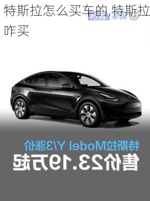 特斯拉怎么買車的,特斯拉咋買