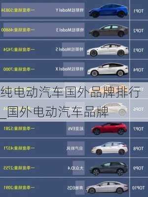 純電動汽車國外品牌排行_國外電動汽車品牌